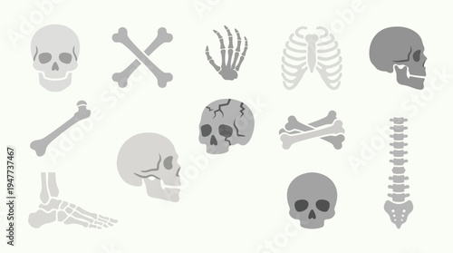 A collection of various human skeletal elements, including skulls, bones, ribs, and a spine, presented in a flat, illustrative style.