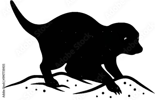 Silhouette of a small, furry animal with a long tail, poised on uneven ground