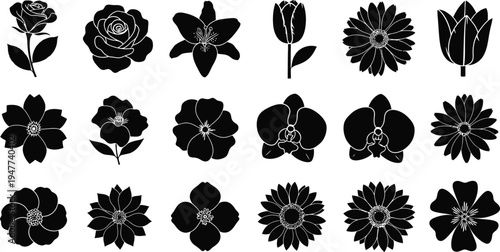 Black and white floral flowers silhouettes 10
