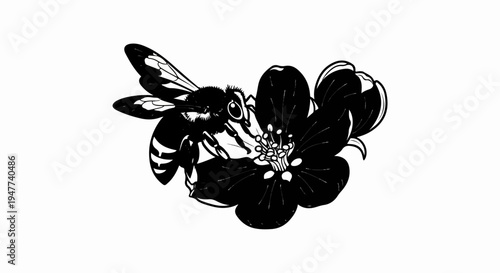 Striking black and white illustration of a bee pollinating a dark flower