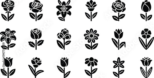 Black and white floral flowers silhouettes 12
