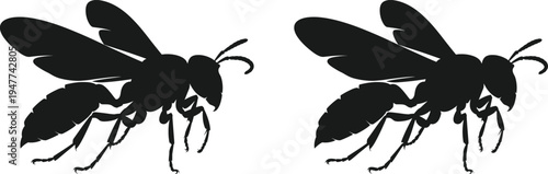 Wasp hornet silhouette vector illustration, flying stinging insect icon isolated for wildlife, pest control and nature design
