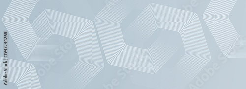 Elegant Design  hexagon lines on gray background. Geometric stripe line abstract