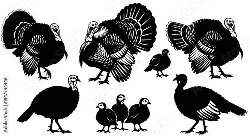 Diverse Turkey Flock Silhouettes: Adult Toms, Hens, and Poults in a Naturalistic Arrangement