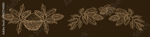 Vintage cocoa bean divider with cacao fruit, leaves and branches. Hand drawn tropical botanical border in retro sketch style. Organic chocolate fruit illustration for textile prints and dessert brand.