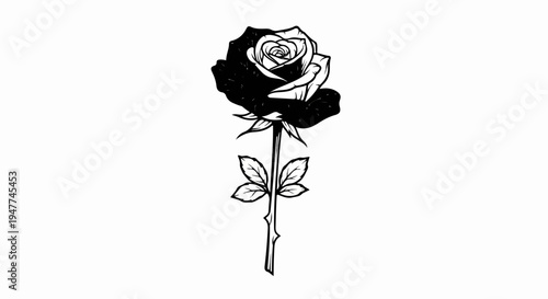 Stylized black and white rose with thorns and leaves
