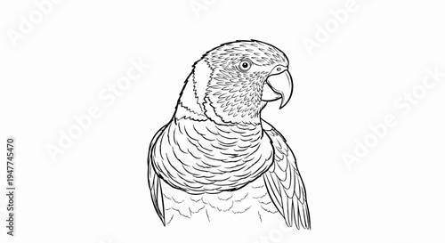 Sketch of a parrot's head and upper body with detailed feathering