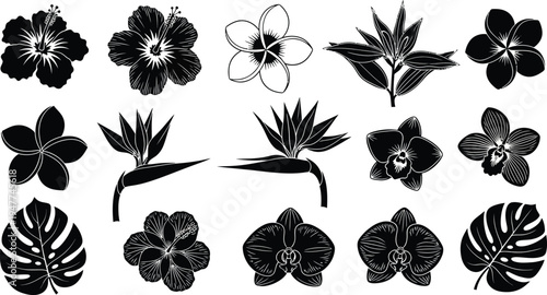 Black and white tropical flowers and leaves