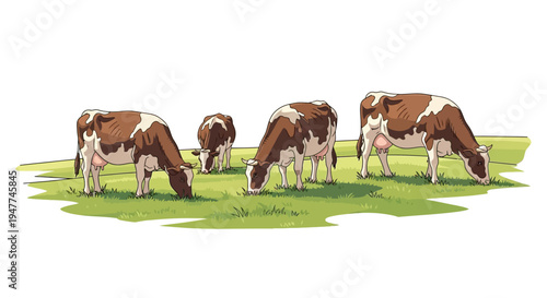 A herd of brown and white cows grazing peacefully in a lush green meadow under soft daylight