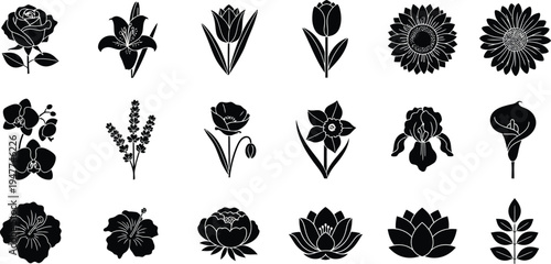 Black floral on white background flowers silhouettes 1