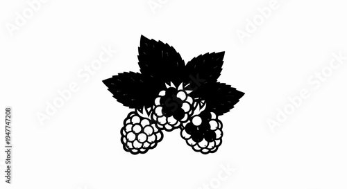 Silhouette of blackberries with leaves