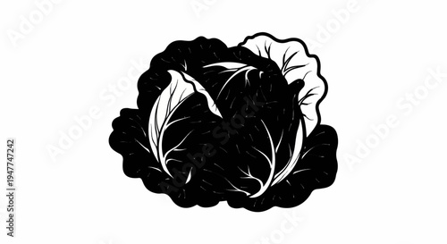 Stylized black and white illustration of a leafy vegetable, possibly cabbage or lettuce