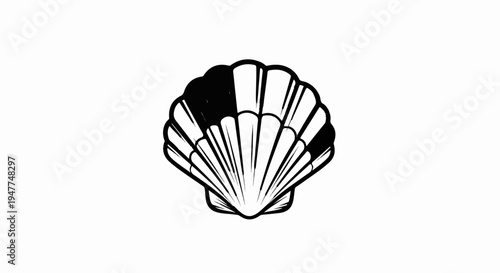 Stylized black and white illustration of a scallop shell