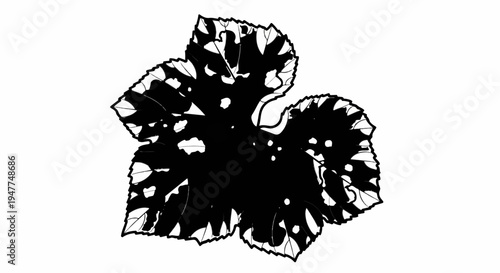 Stylized black and white illustration of a spotted leaf with serrated edges