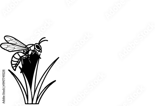 Stylized black and white illustration of a striped insect perched on a pointed leaf