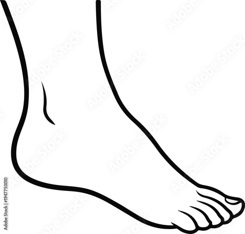 Stylized line drawing of a human foot, showing the ankle, heel, sole and toes