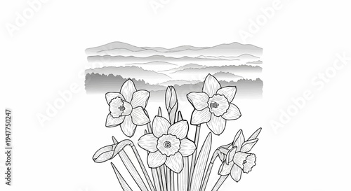 Stylized line drawing of blooming daffodils in a mountainous landscape