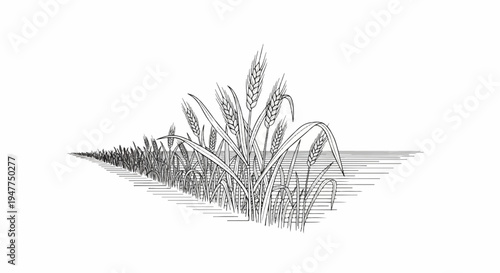 Stylized line drawing of ripe wheat stalks swaying in a field