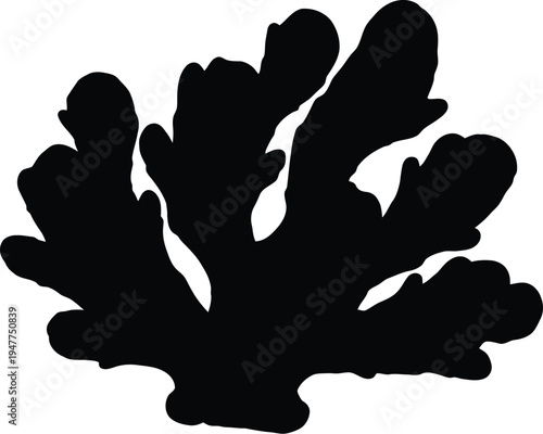 Fresh ginger root for culinary, botanical, and health illustration. 