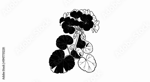 Stylized illustration of a flowering plant with dark blossoms