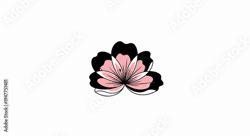 Stylized illustration of a single flower with black and pink petals