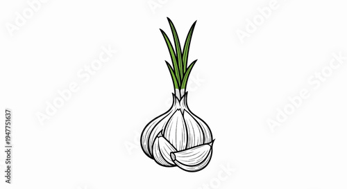 Stylized illustration of a whole garlic bulb with green shoots and a clove