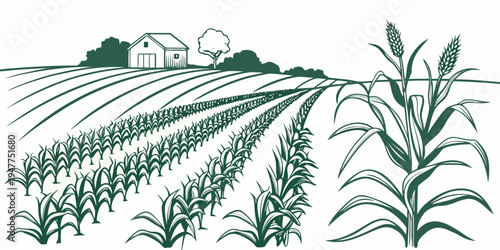 A green illustration of a corn field with a farm in the background Vector