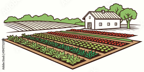 A garden with rows of plants and a house in the background Vector
