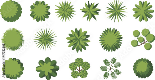 Green tree and bush top view collection set, landscape design elements for map planning, garden layout, forest canopy symbols, botanical foliage icons isolated on white background
