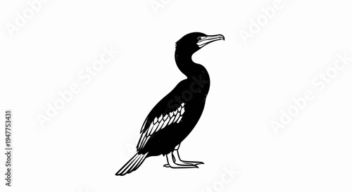 Stylized black bird with white markings on wing, white background