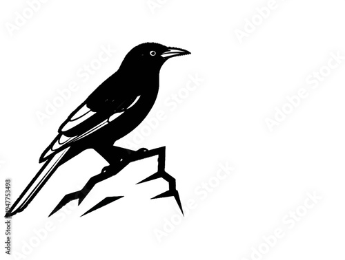 Stylized black bird with white markings perched on a rocky outcrop