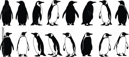 Penguin silhouette illustrations, bird posture artwork, wildlife avian design, black white figure set, playful animal stylized collection