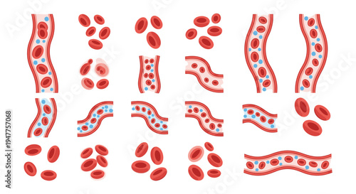 Medical illustrations of human blood cells, showcasing various types, immune responses, and cellular disease progression, vital for scientific education and health understanding