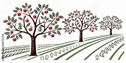 An illustration of an apple orchard with trees and rows Vector