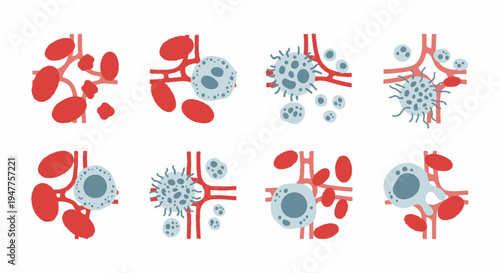 Medical Illustration Depicting Various Stages of Cancer Cell Growth and Bloodstream Interaction