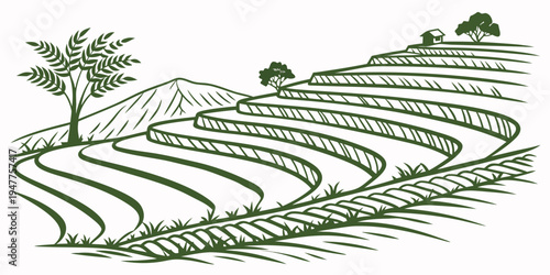 A green drawing of a rice field with trees Vector