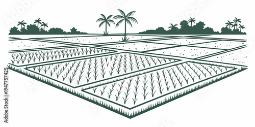A green illustration of a field with rows of crops and palm trees in the background Vector