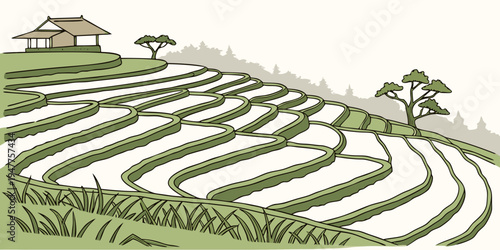 A tea plantation on a hillside with a house Vector