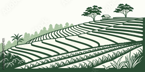 A green illustration of a vineyard with rows of vines and trees on a hill Vector