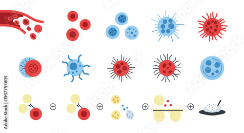 Collection of scientific illustrations depicting red blood cells, platelets, and white blood cells in various stages and formations
