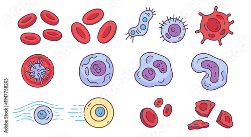 Comprehensive collection of diverse human blood cell types and various microscopic organisms, illustrated for biological science and medical research