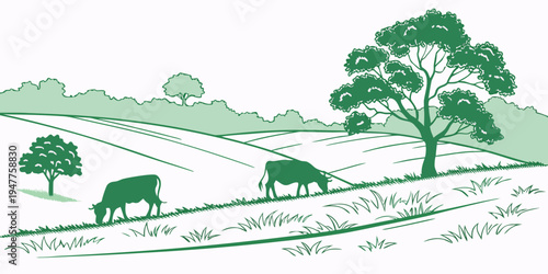 Cows grazing peacefully in a green landscape Vector