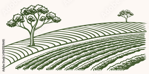 A green illustration of a field with two trees Vector