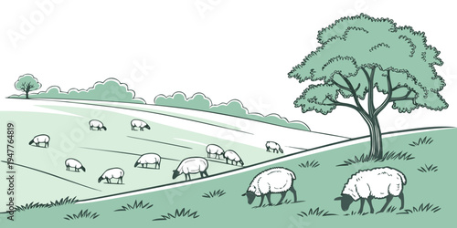 A flock of sheep grazing in a green field Vector