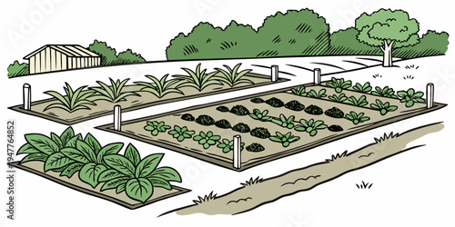 A garden with multiple rows of plants and trees Vector