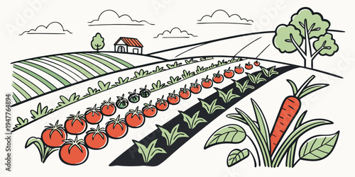 A garden with rows of vegetables growing Vector
