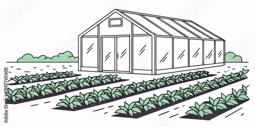 A greenhouse with plants growing in rows Vector