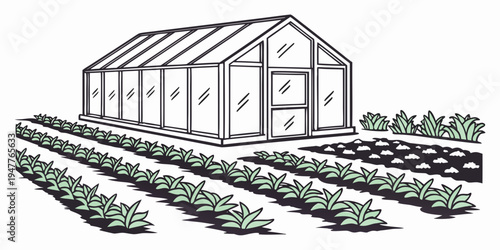 A greenhouse with rows of plants growing in the garden Vector