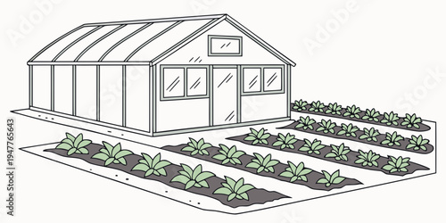 A small greenhouse with plants growing in rows Vector