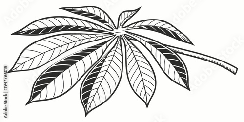 A black and white drawing of a cannabis leaf Vector